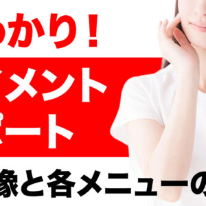 丸わかり！ペイメントレポート